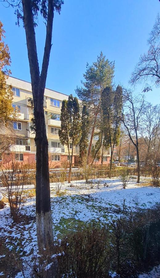Larisa Apartament